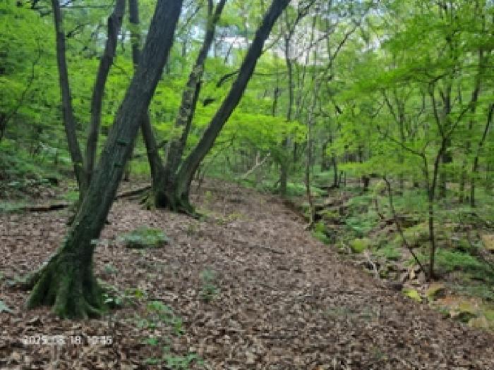 경상남도 창원시 성산구 남지동 산60 임야 경매 사진 5