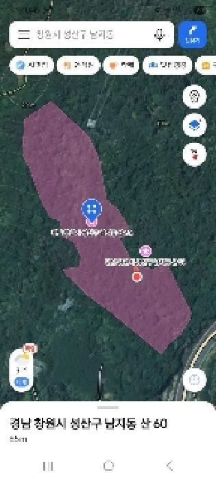 경상남도 창원시 성산구 남지동 산60 임야 경매 사진 6
