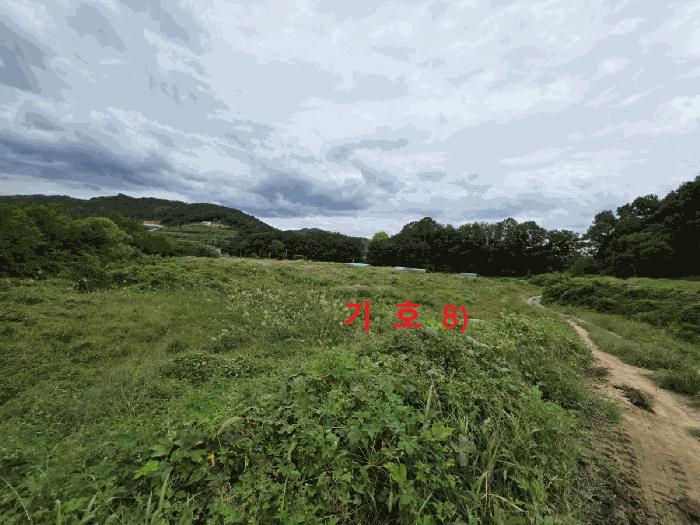 경상북도 성주군 월항면 지방리 502-2 답 경매 사진 14
