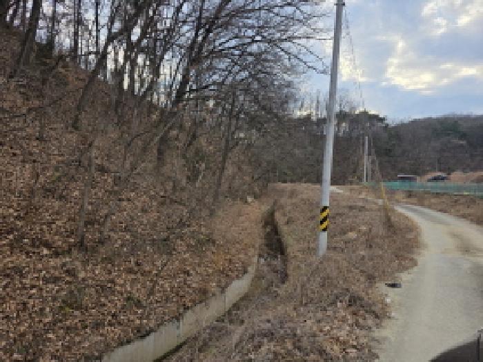경상북도 성주군 월항면 지방리 502-2 답 경매 사진 15
