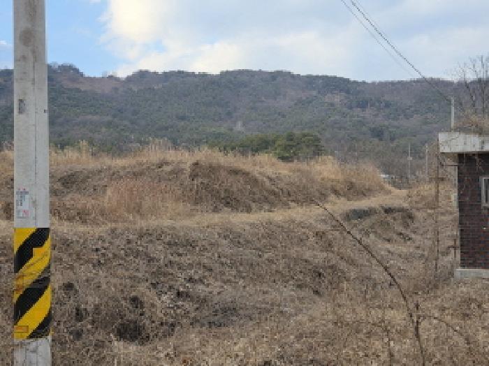 경상북도 성주군 월항면 지방리 502-2 답 경매 사진 18