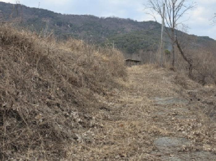 경상북도 성주군 월항면 지방리 502-2 답 경매 사진 19
