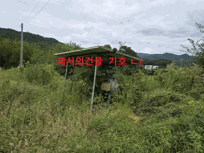 경상북도 성주군 월항면 지방리 502-2 답 경매 사진 5