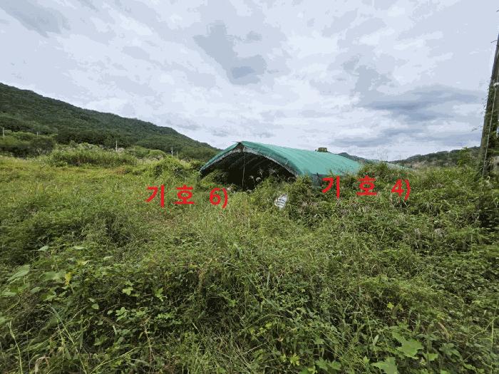 경상북도 성주군 월항면 지방리 502-2 답 경매 사진 6