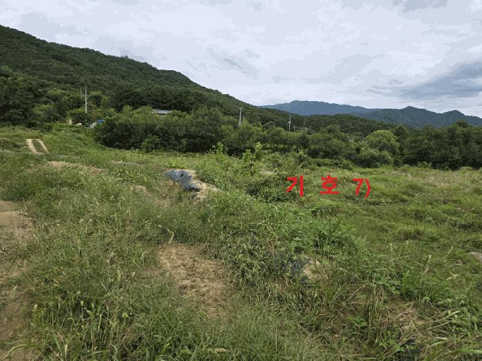 경상북도 성주군 월항면 지방리 502-2 답 경매 사진 7