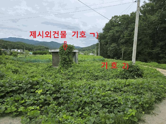 경상북도 성주군 월항면 지방리 502-2 답 경매 사진 9