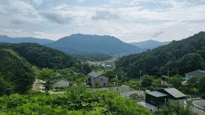 경기도 가평군 설악면 신천리 4 주택 경매 사진 13