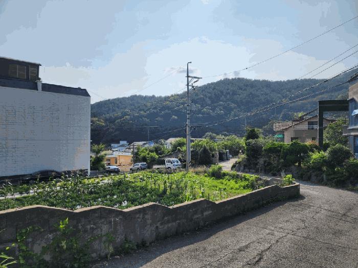 경상남도 창원시 진해구 죽곡동 113 주택 경매 사진 3