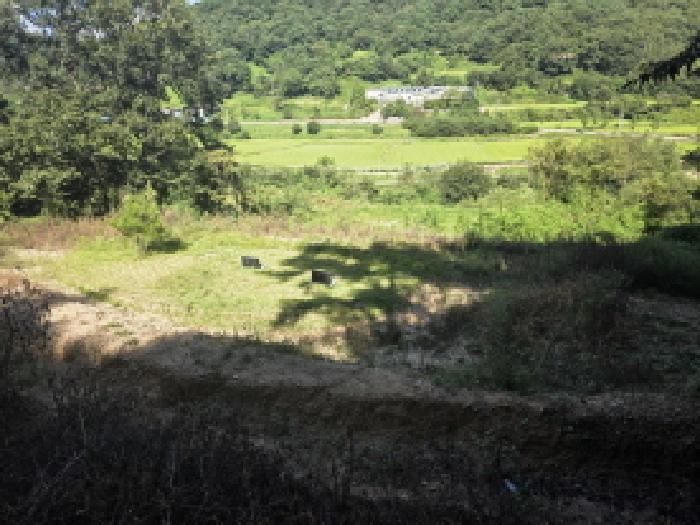 경상북도 성주군 금수강산면 광산리 1039 전 경매 사진 7