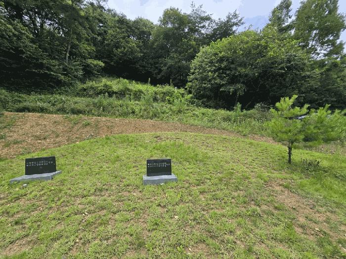 경상북도 성주군 금수강산면 광산리 1039 전 경매 사진 8