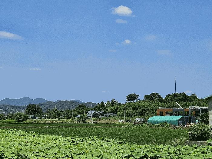 경상남도 창원시 의창구 대산면 갈전리 999-14 답 경매 사진 1