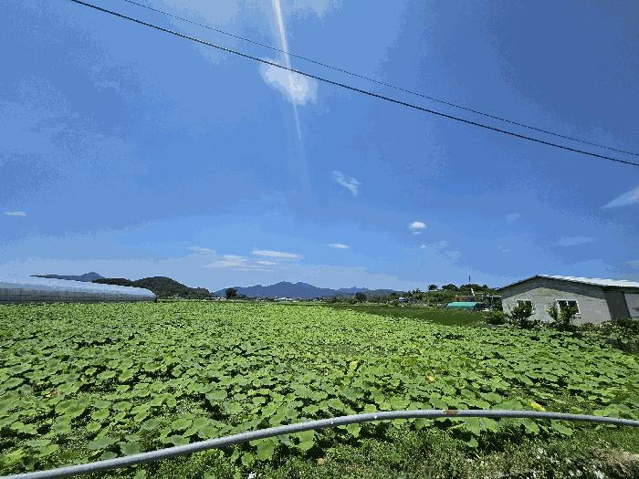 경상남도 창원시 의창구 대산면 갈전리 999-14 답 경매 사진 2
