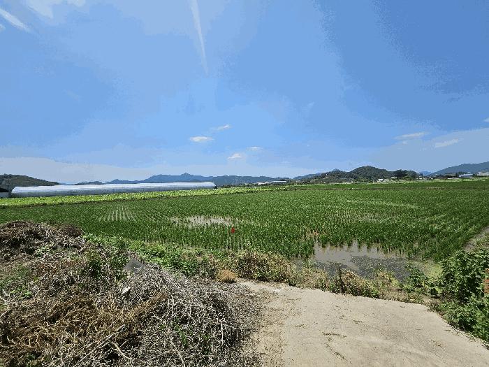 경상남도 창원시 의창구 대산면 갈전리 999-14 답 경매 사진 3
