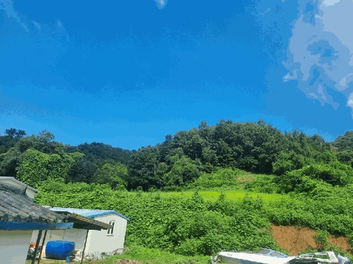 경기도 가평군 가평읍 금대리 476-5 전 경매 사진 1
