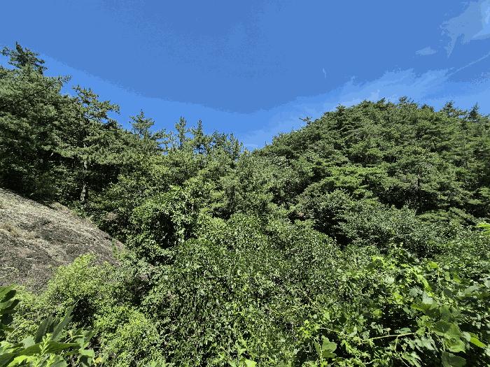 경상남도 김해시 한림면 장방리 산18-6 임야 경매 사진 1