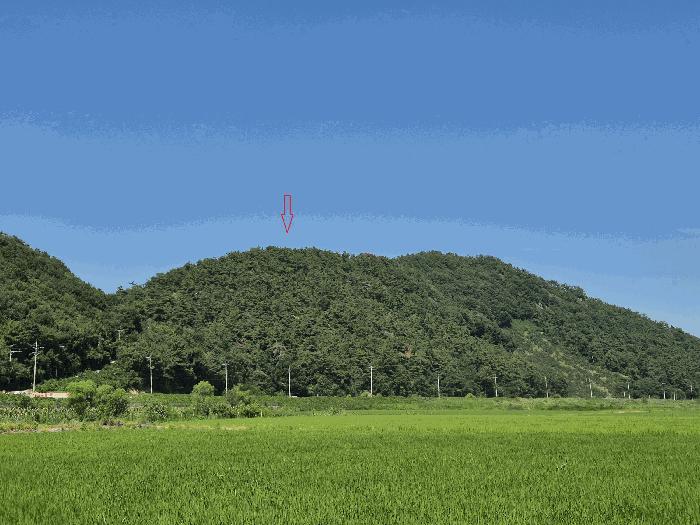 경상남도 김해시 한림면 장방리 산18-6 임야 경매 사진 4