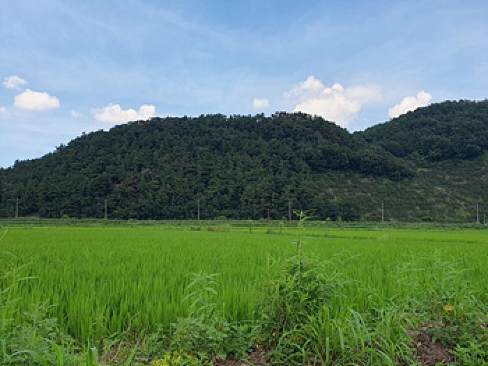 경상남도 김해시 한림면 장방리 산18-6 임야 경매 사진 5