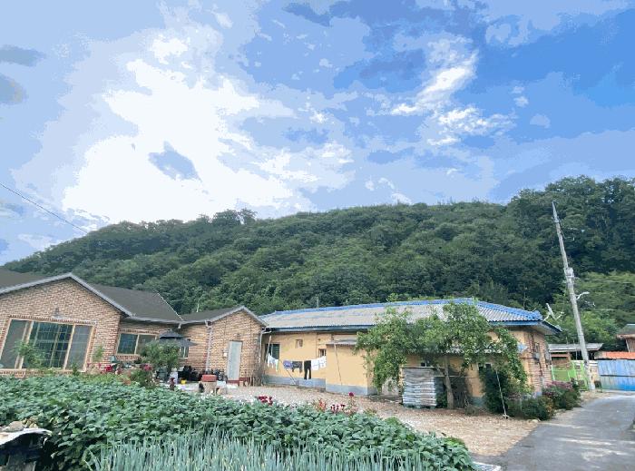 경기 가평군 임야
