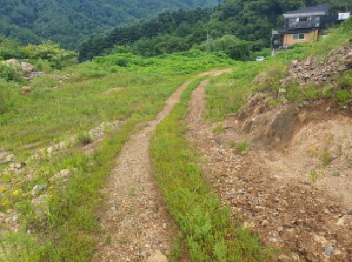 경기도 가평군 북면 백둔리 443-13 임야 경매 사진 15