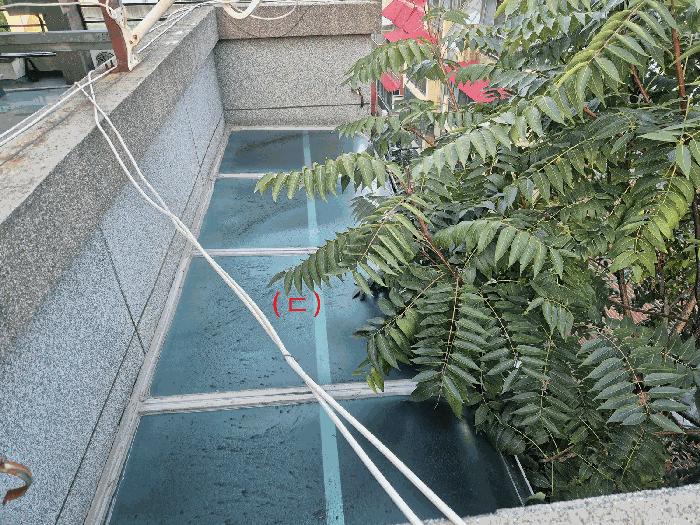 대구광역시 달서구 대곡동 19-10 다가구주택 경매 사진 14