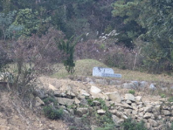 경상북도 성주군 금수강산면 어은리 529 대지 경매 사진 17