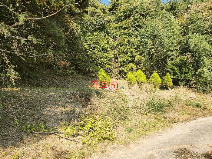 경상북도 성주군 금수강산면 어은리 529 대지 경매 사진 2
