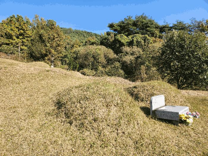 경상북도 성주군 금수강산면 어은리 529 대지 경매 사진 3