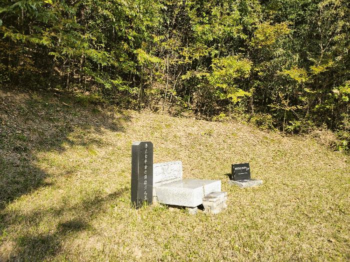경상북도 성주군 금수강산면 어은리 529 대지 경매 사진 5