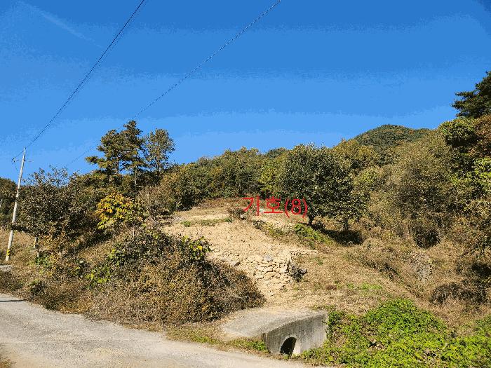 경상북도 성주군 금수강산면 어은리 544 답 경매 사진 10