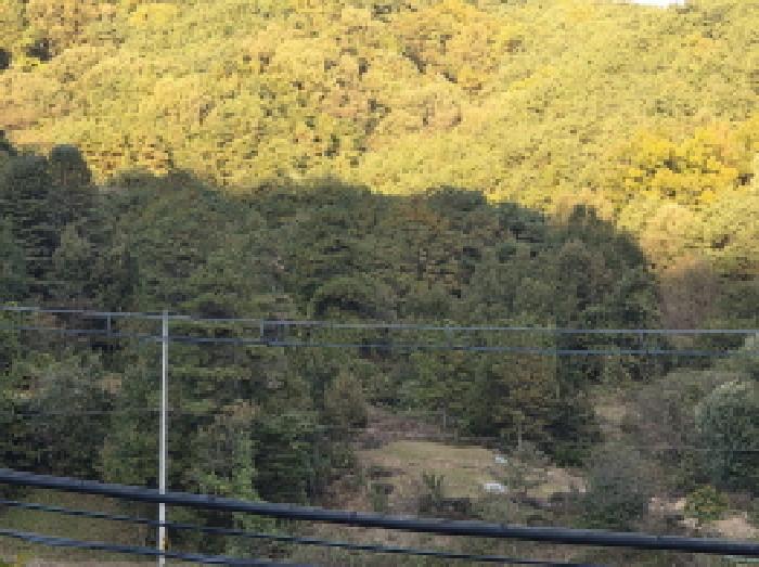 경상북도 성주군 금수강산면 어은리 544 답 경매 사진 16
