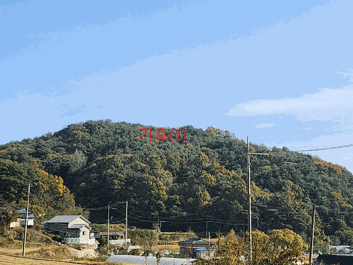 경상북도 성주군 금수강산면 어은리 544 답 경매 사진 8