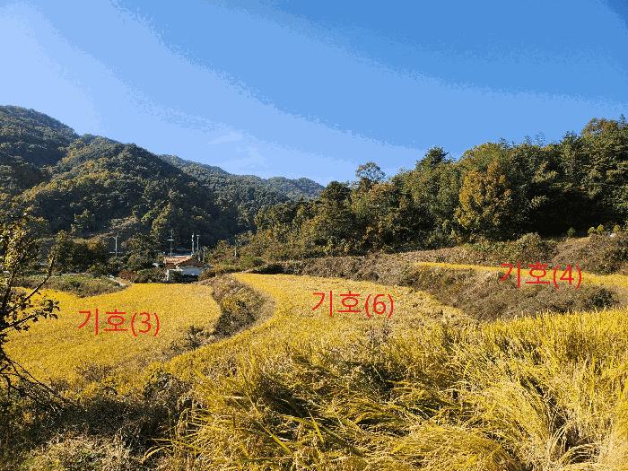 경상북도 성주군 금수강산면 어은리 544 답 경매 사진 9