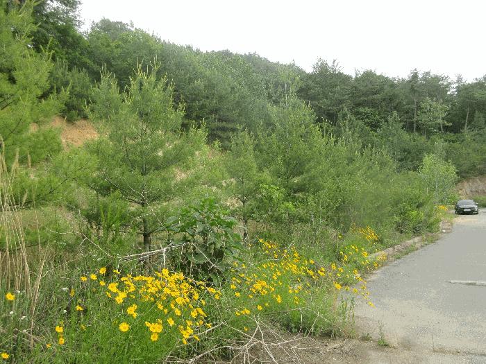 전라남도 화순군 전