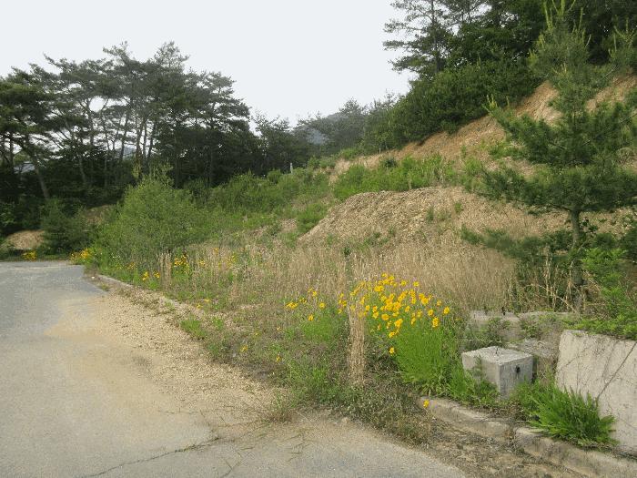 전라남도 화순군 도곡면 원화리 188-1 전 경매 사진 3