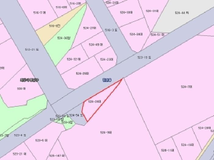 경기도 화성시 진안동 524-24 상가 경매 사진 11