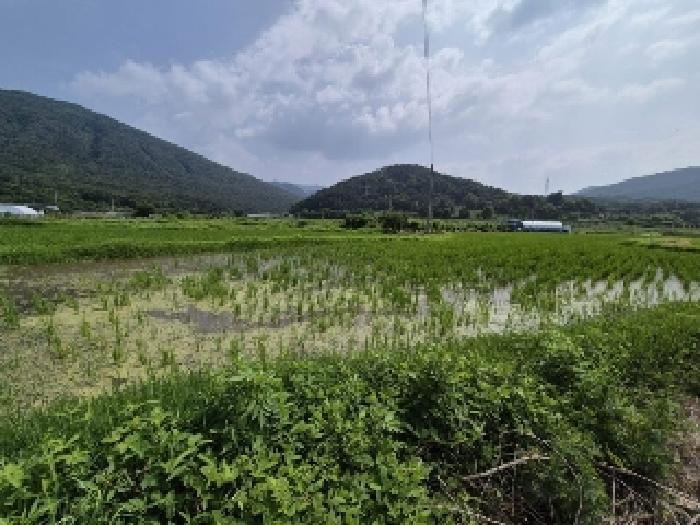 광주광역시 북구 충효동 227 답 경매 사진 4