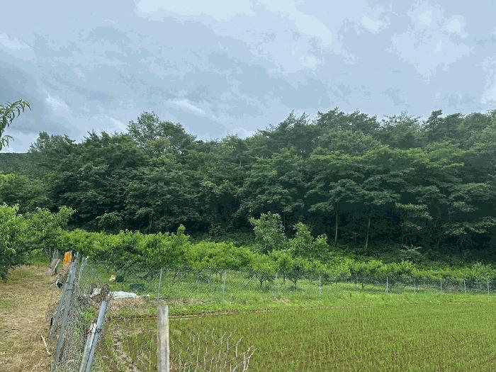 경상북도 영덕군 달산면 흥기리 836-1 전 경매 사진 1