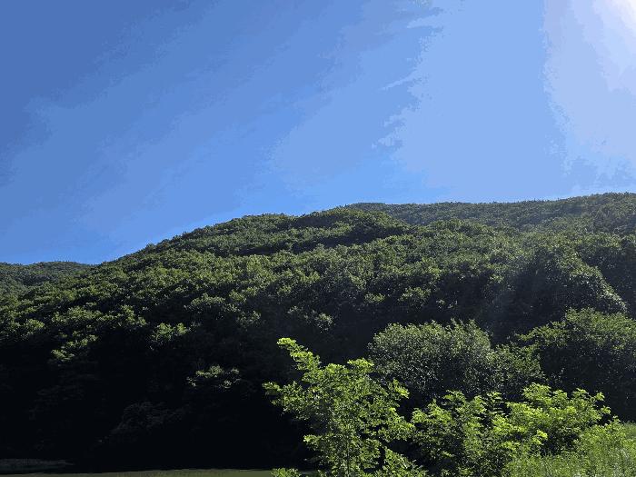 경상북도 영천시 임야