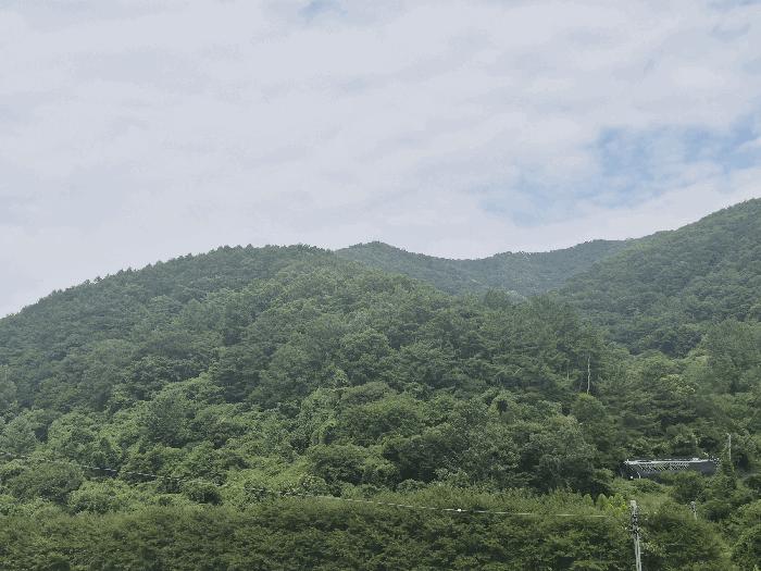 경상북도 청도군 운문면 지촌리 971 전 경매 사진 4