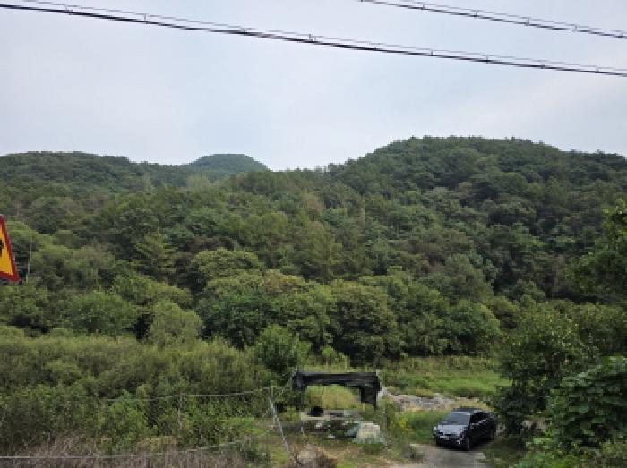 경상북도 청도군 운문면 지촌리 1170 전 경매 사진 12