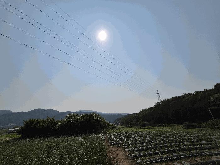 전라남도 장성군 삼계면 화산리 209 전 경매 사진 1