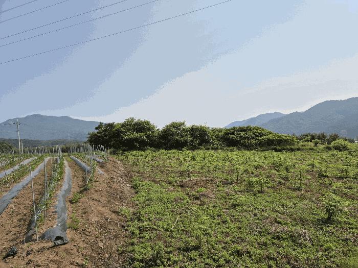 전라남도 장성군 삼계면 화산리 209 전 경매 사진 3