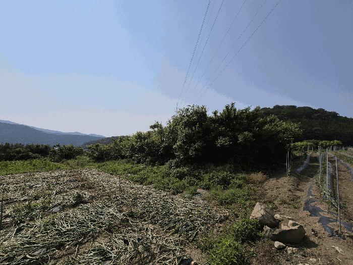 전라남도 장성군 삼계면 화산리 209 전 경매 사진 4