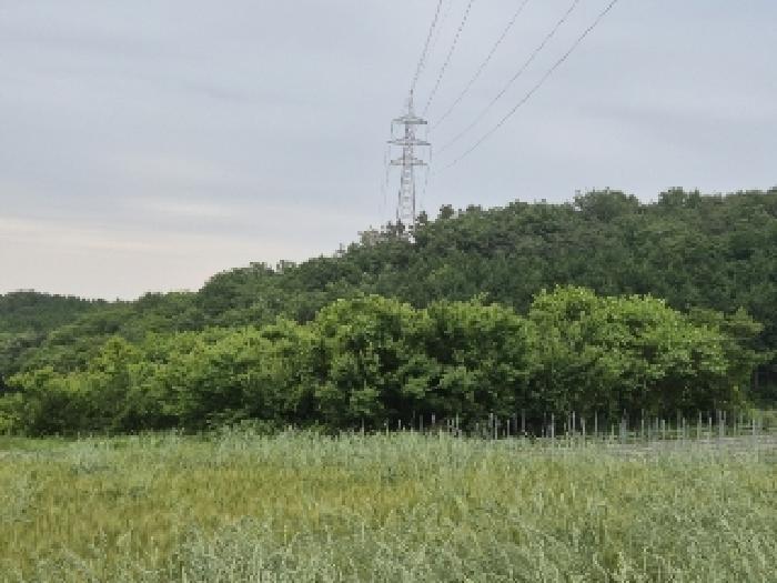 전라남도 장성군 삼계면 화산리 209 전 경매 사진 7