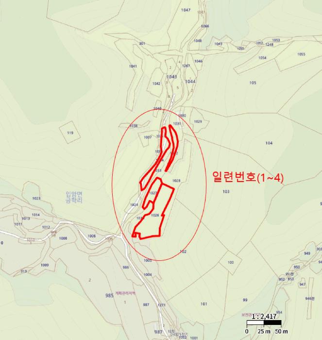경상북도 영양군 입암면 금학리 1027 전 경매 사진 10