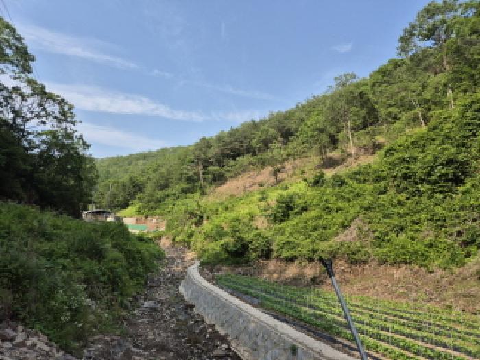 경상북도 영양군 입암면 금학리 1027 전 경매 사진 8