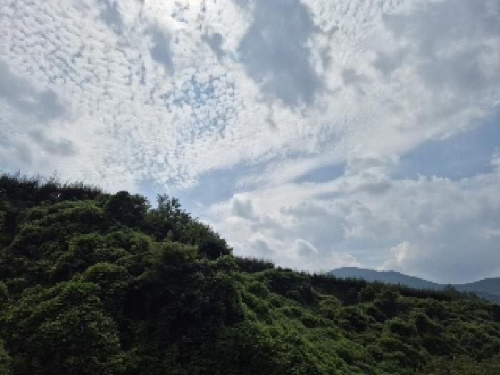 전라남도 곡성군 목사동면 용봉리 56-1 답 경매 사진 11