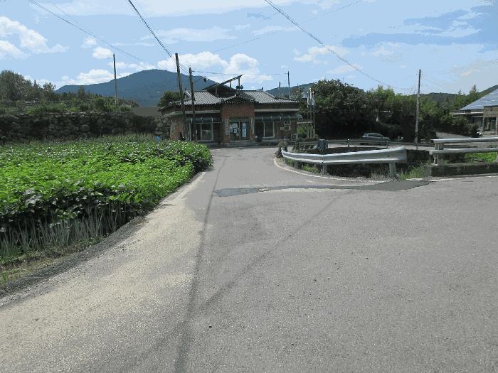 전라남도 곡성군 목사동면 용봉리 471-1 도로 경매 사진 8