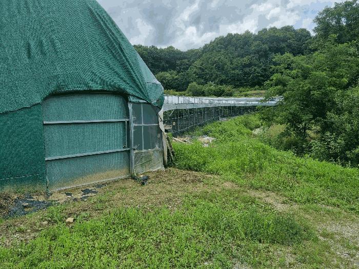 경상북도 김천시 답