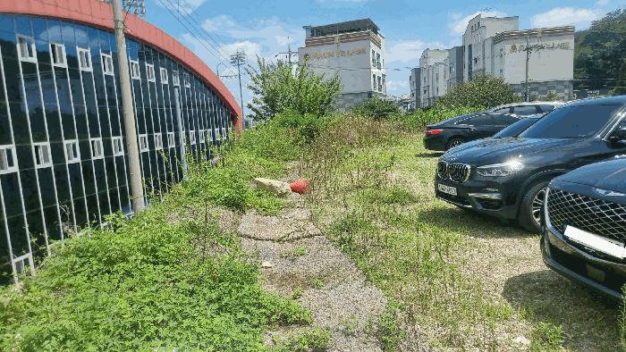 경상북도 구미시 남통동 137 답 경매 사진 9